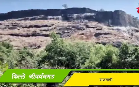 किल्ले श्रीवर्धनगड - राजमाची