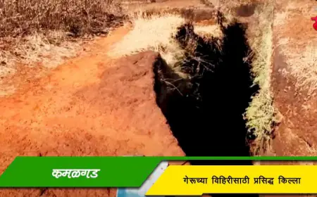 कमळगड - कावेच्या अथवा गेरूच्या विहिरीसाठी प्रसिद्ध किल्ला