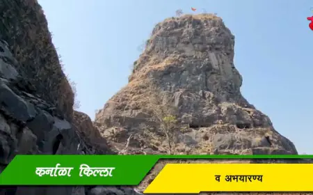 कर्नाळा किल्ला व अभयारण्य