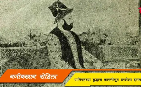 नजीबखान रोहिला - पानिपतच्या युद्धास कारणीभूत ठरलेला इसम