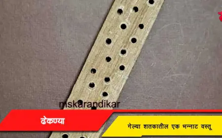 ढेकण्या - गेल्या शतकातील एक भन्नाट वस्तू