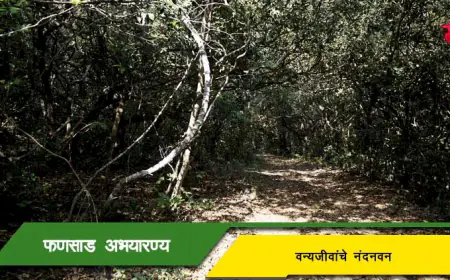 फणसाड वन्यजीव अभयारण्य - वन्यजीवांचे नंदनवन