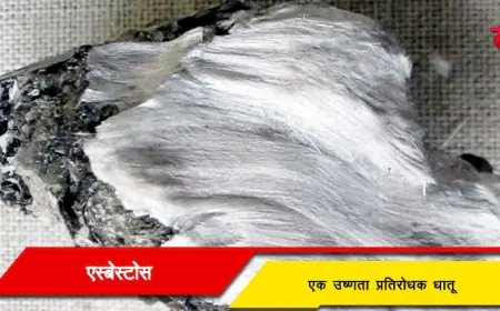 एस्बेस्टोस: उष्णता प्रतिरोधक धातू - माहिती, वैशिष्ट्ये आणि संवर्धन