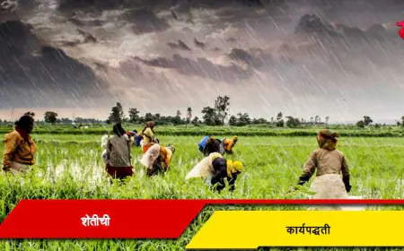 शेतीची कार्यपद्धती