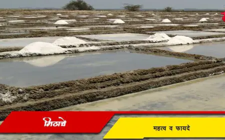 मिठाचे महत्व व फायदे