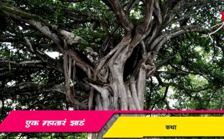 एक म्हातारं झाडं
