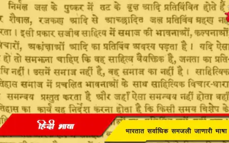 हिंदी - भारतात सर्वाधिक समजली जाणारी भाषा