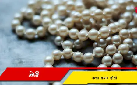 मोती म्हणजे काय व तो कसा तयार होतो? – एक सखोल माहिती