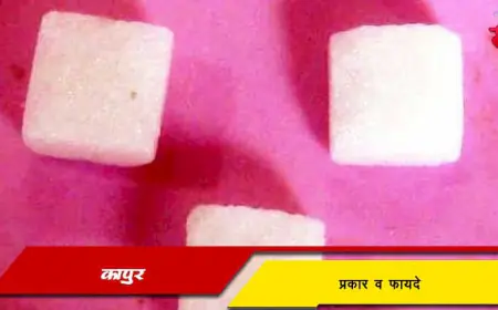 कापूर - प्रकार व फायदे