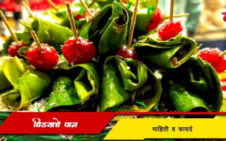 विड्याच्या पानाची माहिती व फायदे