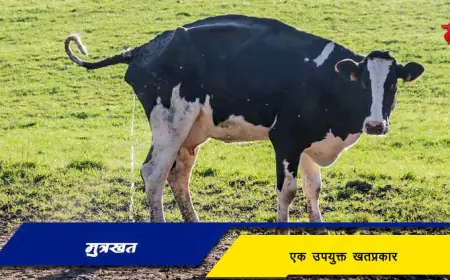 मूत्रखताची माहिती व फायदे