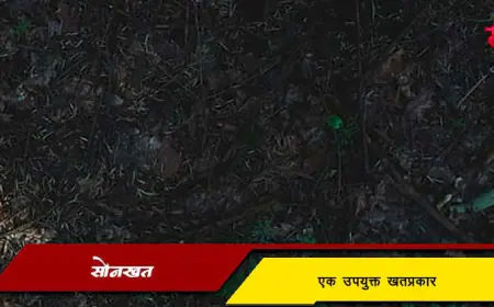 सोनखत - एक उपयुक्त खत