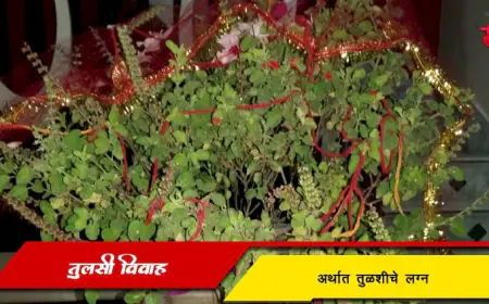 तुलसीविवाह अर्थात तुळशीचे लग्न