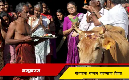 वसुबारस - गोधनाचा सन्मान करण्याचा दिवस