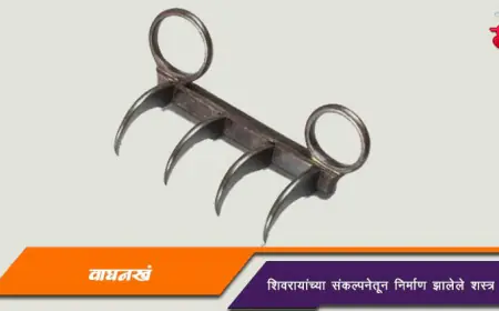 वाघनखं अर्थात वाघनखे - शिवरायांच्या संकल्पनेतून निर्माण झालेले शस्त्र