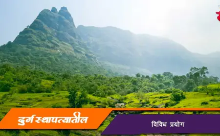 दुर्गस्थापत्यातील विविध प्रयोग