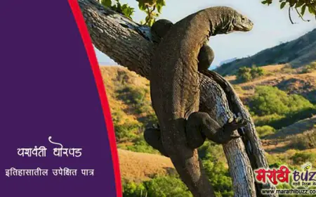 यशवंती घोरपड - तानाजी मालुसरे यांची ही घोरपड सत्य होती की कल्पना?