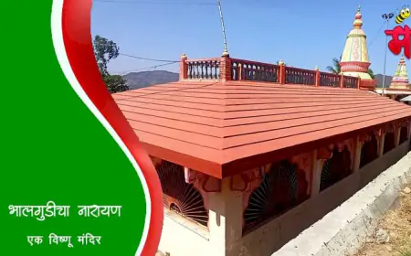 भालगुडीचा नारायण