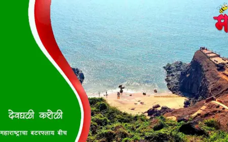 देवघळी कशेळी - महाराष्ट्राचा बटरफ्लाय बीच