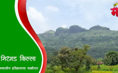 मिरगड अर्थात सोनगिरी किल्ला: महालमिरा रांगेतील ऐतिहासिक दुर्ग