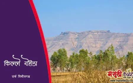 रोहिडा किल्ला अर्थात विचित्रगड
