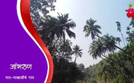 जांभरुण - पाट-पाखाडींचे गाव