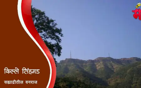 सिंहगड अर्थात कोंढाणा किल्ला: तानाजी मालुसरेंचा पराक्रम आणि शिवरायांचा वारसा