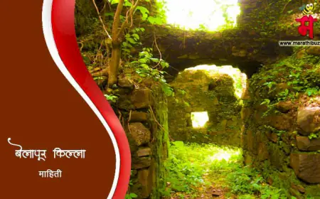 बेलापूर किल्ला - माहिती व इतिहास