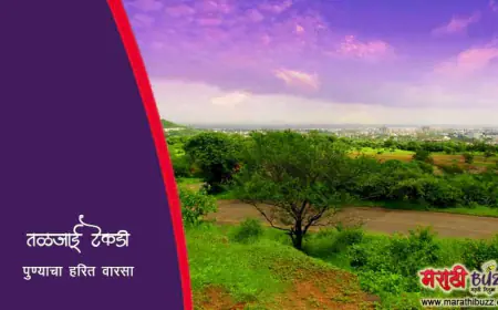तळजाई टेकडी - पुण्याचा हरित वारसा