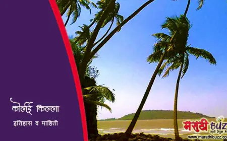 कोर्लई किल्ला - इतिहास व माहिती