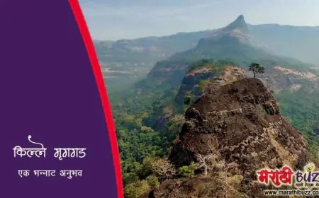किल्ले मृगगड