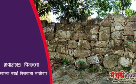 भवानगड - मराठ्यांच्या वसई विजयाचा साक्षीदार