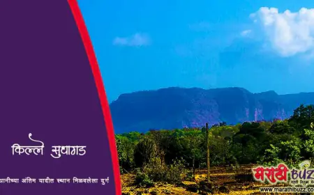 सुधागड - राजधानीच्या अंतिम यादीत समावेश असलेला किल्ला