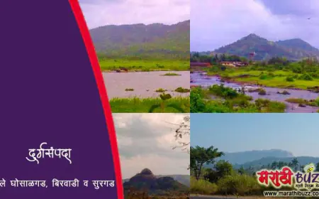 अवचितगड, बिरवाडी, सुरगड व घोसाळगड - रोहे तालुक्यातील किल्ले