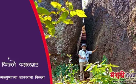 कमळपुष्पाच्या आकाराचा कमळगड