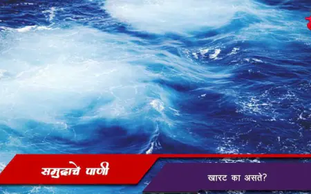 समुद्राचे पाणी खारट का असते? - कारणे, फायदे आणि पर्यावरणीय महत्व