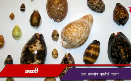 कवडी - एक नामशेष झालेले चलन