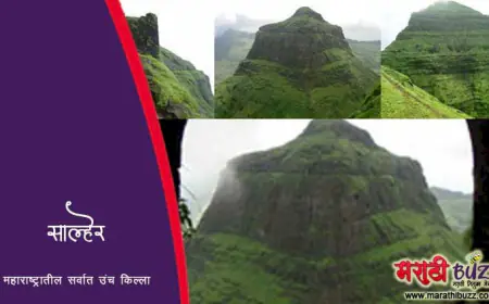 साल्हेर किल्ला - महाराष्ट्रातील सर्वात उंच गड