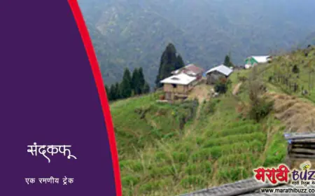 संदकफू - एक रमणीय ट्रेक
