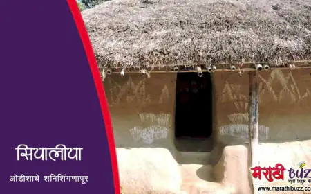 ओडीशाचे शनिशिंगणापूर – सियालिया
