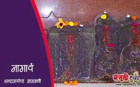 नागाव - रायगड जिल्ह्यातील एक ऐतिहासिक आणि निसर्गरम्य पर्यटनस्थळ