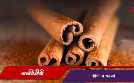दालचिनी: माहिती, फायदे आणि औषधी गुणधर्म