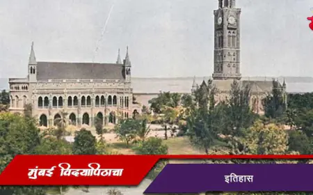 मुंबई विद्यापीठाची माहिती