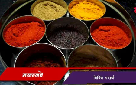 मसाल्याचे विविध पदार्थ – चव, रंग आणि आरोग्यासाठी उपयुक्त खजिना