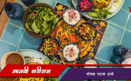 शरीरास पोषक घटक द्रव्ये