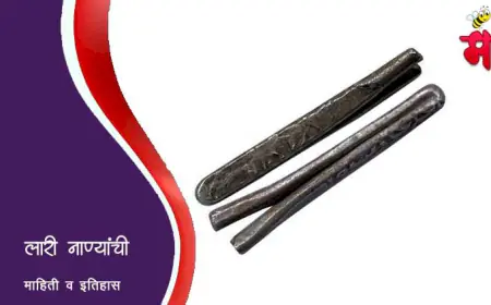 लारी - आकाराने अजब असे नाणे