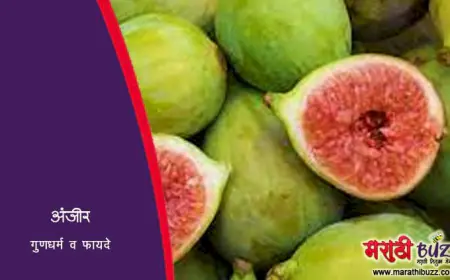 अंजीर - गुणधर्म व फायदे