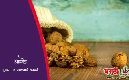 अक्रोड - गुणधर्म व खाण्याचे फायदे