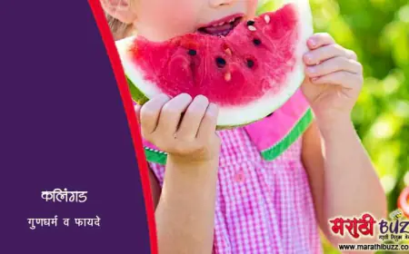 कलिंगड - गुणधर्म व फायदे