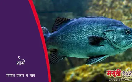 माशांचे प्रकार व नावे: महाराष्ट्रातील प्रमुख मासे आणि त्यांची माहिती